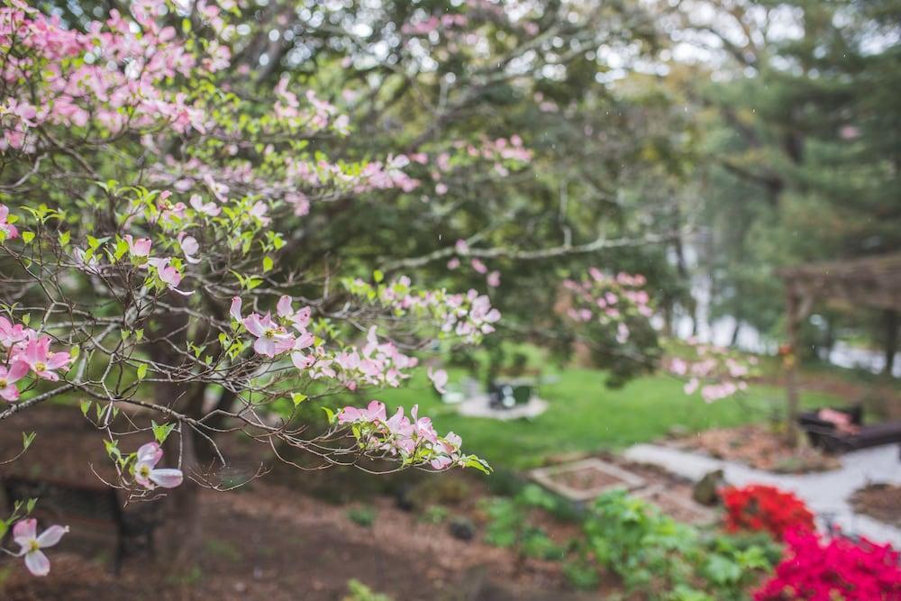 阿什维尔The Applewood Manor住宿加早餐旅馆 外观 照片